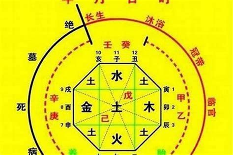 喜用金土|八字入门基础 第六篇 如何判断八字喜用神